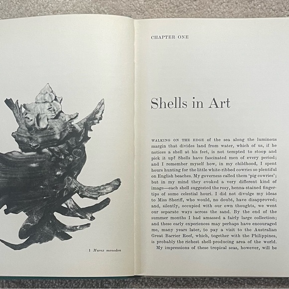 Shells Pleasures & Treasures First Edition Book with Slip Cover - Picture 9 of 13